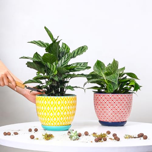 Selamica Ceramica Plant Pots, 6.5 Inch Flower Pots Set of 2 with Drainage Holes & Saucer, Planters for Indoor Plants, Home Decor, Assorted Colors - color: Assorted Colors, size: 6.5 Inch, Set of 2