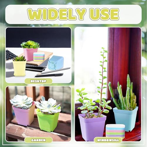 OJYUDD 24 Pack Multi Color Plastic Plant Pot,Colorful Plastic Square Pots,Mini Plastic Square Planters for Indoor Outdoor Plants Flowers,Garden,Office,Home Decor,with Pallet - size: 24 Pack Multicolor