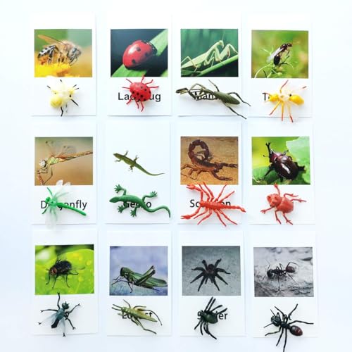 MEROCO Montessori Materials Insects Bugs Matching Game Kids Preschool 3-6 - style: Insect-Animal