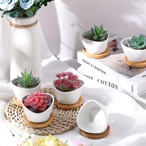 Domensi 24 Pack Small Succulent Pots, Mini Ceramic Succulent Planter, White