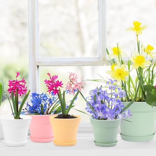 GARDIFE 20 Pack 4 inch Plant pots, planters for Indoor Plants, Flower pots, Color - color: 4-color, size: 4 inch