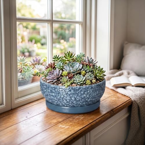 Bonsai Planter, 8 Inch Ceramic Bonsai Pots with Saucer, Scale Blue - color: Scale Blue, size: 8 Inch