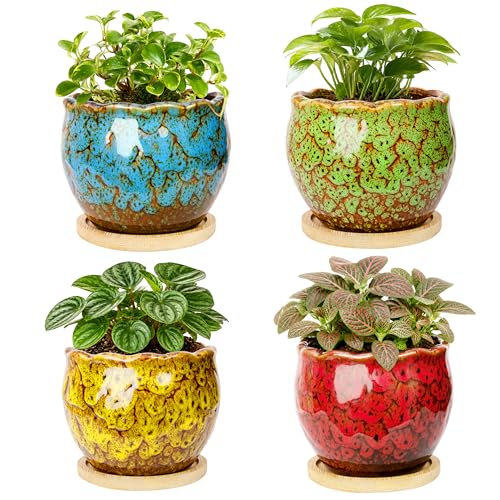 ARTKETTY Succulent Pots, 4 Pack Small Plant Pots with Drainage Tray - color: 4'' Colorful 2