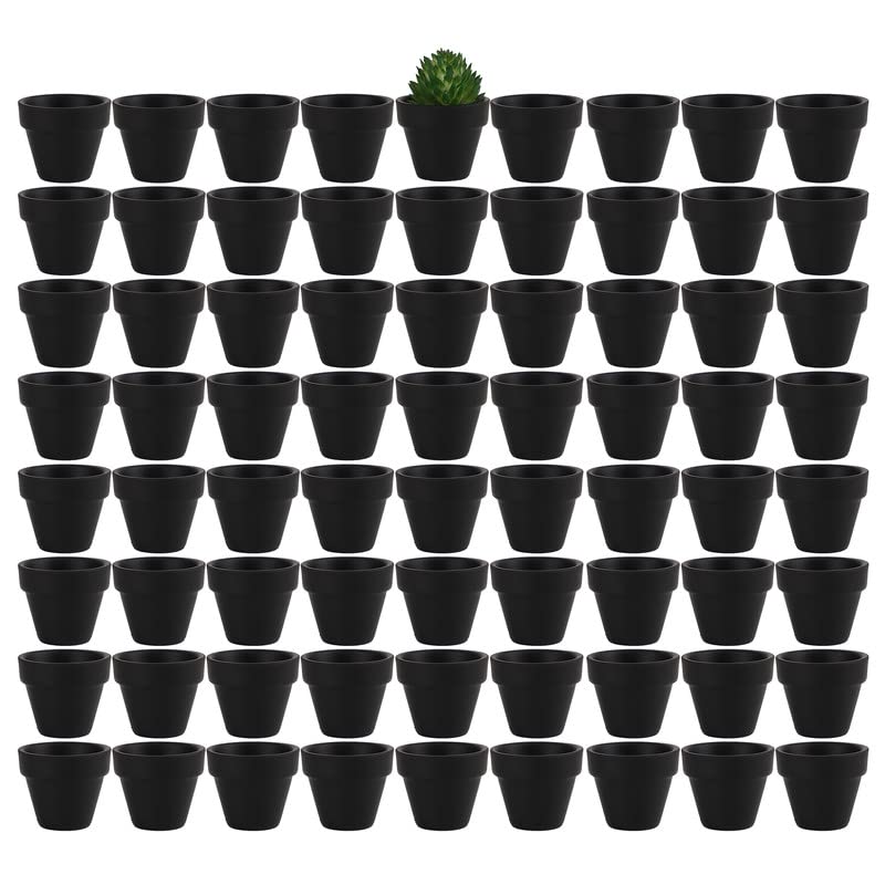 Yishang 1.9 Inch Tiny Black Terracotta Pots Pack of 72-Small Mini White Clay Pots with Drainage Holes Flower Nursery Terra Cotta Planter for Tiny Cactus,Herb,Succulent Plants,Crafts - color: Black