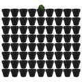 Yishang 1.9 Inch Tiny Black Terracotta Pots Pack of 72-Small Mini White Clay Pots with Drainage Holes Flower Nursery Terra Cotta Planter for Tiny Cactus,Herb,Succulent Plants,Crafts - color: Black