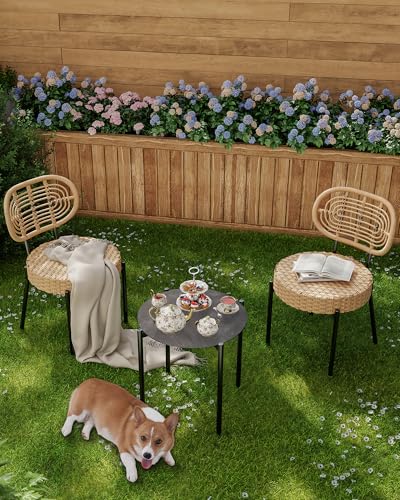GarveeLife 3 Piece Wicker Patio Bistro Furniture Set, Outdoor Dining Chairs, Includes 2 Rattan Chairs and Tempered Glass Table, for Garden, Backyard, Balcony, Apartment (Black & Brown) - color: Black & Brown