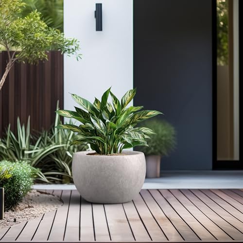 Kante Accent Round Bowl CON Gray Concrete Planter 15.7" Dia, Outdoor - color: Light Gray, size: 15.7" d