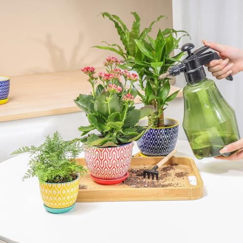 Selamica Ceramic Succulent Pots with Drainage Holes, Small Flower Pots 3.5 Inch Plant Pots for Indoor Plants with Saucers, Cactus Succulent, Home Decor, Set of 4, Assorted Colors - color: Assorted Colors, size: 3.5 Inch, Set of 4