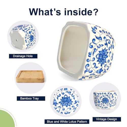 Succulent Pots - 3.1" Succulent Planters with Drainage and Bamboo Trays, Ceramic Flower Pots for Indoor Plants, Small Succulent Pots for Cactus, Home Office Desk Decor, Set of 6 - color: Blue-porcelain-square