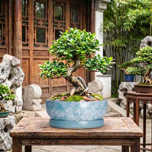 Succulent Planter, 13 Inch Ceramic Bonsai Pots, Droplet Blue - color: Droplet Blue, size: 13 Inch