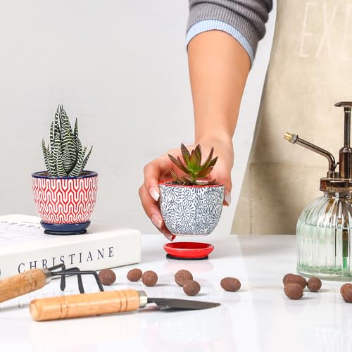 Selamica Ceramic 2.4 Inch Succulent Pots, Mini Flower Pots for Cactus Plant with Drainage Holes & Saucers, Home Decor, Set of 6, Assorted Colors - color: Assorted Colors, size: 2.4 Inch, Set of 6