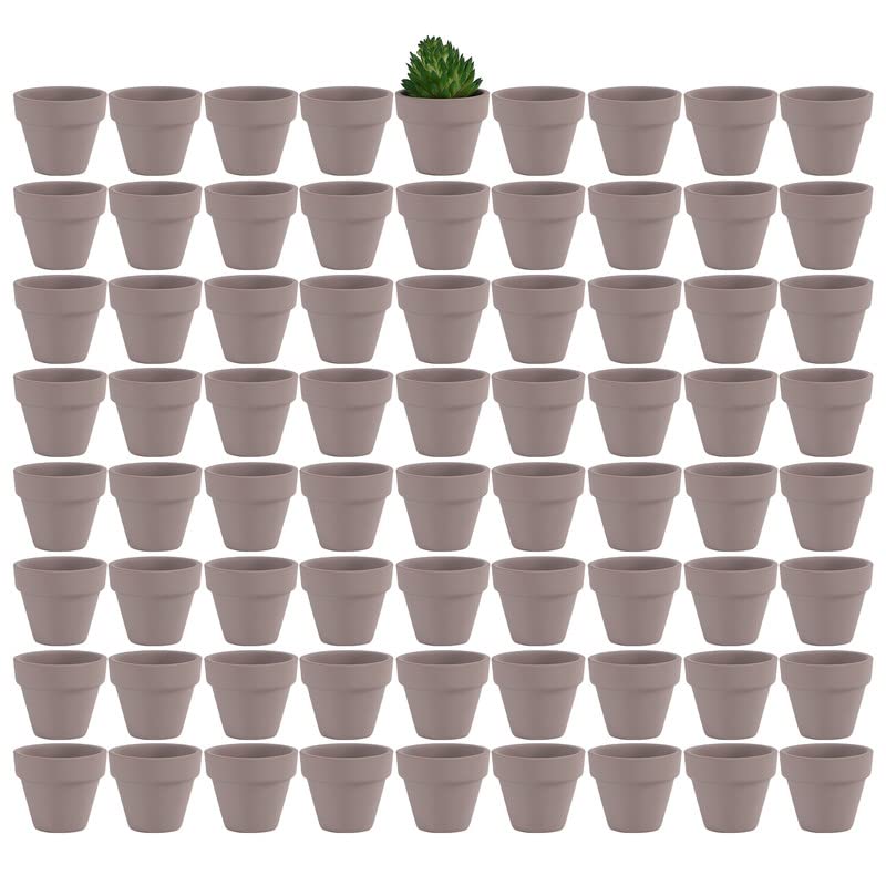 Yishang 1.9 Inch Tiny Grey Terracotta Pots Pack of 72-Small Mini White Clay Pots with Drainage Holes Flower Nursery Terra Cotta Planter for Tiny Cactus,Herb,Succulent Plants,Crafts - color: Gray