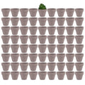 Yishang 1.9 Inch Tiny Grey Terracotta Pots Pack of 72-Small Mini White Clay Pots with Drainage Holes Flower Nursery Terra Cotta Planter for Tiny Cactus,Herb,Succulent Plants,Crafts - color: Gray