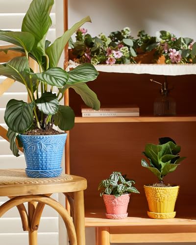 Metahom Ceramic Plant Pots, Assorted Colors, Set of 3, Embossed Design - color: Embossed Assorted Colors