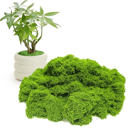 Fake Green Moss for Potted Plants,7oz Artificial Moss for Crafts