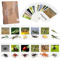 MEROCO Montessori Materials Insects Bugs Matching Game Kids Preschool 3-6 - style: Insect-Animal