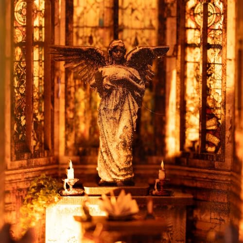 fifijoy Book Nook Kit - Abandoned Gothic Church DIY Miniature Dollhouse for Adults and Teens, Booknook Tiny House Bookshelf Decor 3D Wooden Puzzle with LED Lights, Creative Gifts for Family, Friends - color: Abandoned Gothic Church