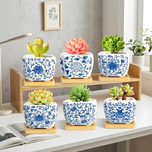 Succulent Pots - 3.1" Succulent Planters with Drainage and Bamboo Trays, Ceramic Flower Pots for Indoor Plants, Small Succulent Pots for Cactus, Home Office Desk Decor, Set of 6 - color: Blue-porcelain-square