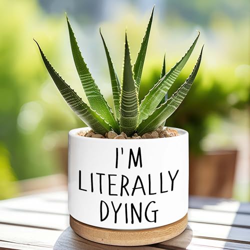 I'm Literally Dying - Quotes Funny Succulent Pots, 3.5 inch Ceramic Flower Plant Pots with Drainage Hole, Cute Cactus Planters, Birthday Gifts for Women Friends,Housewarming Gifts