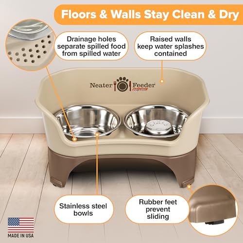 Neater Feeder - Express Model w/Slow Feed Bowl - Mess-Proof Dog Bowls (M/L, Cappuccino) Made in USA –Elevated, No Spill, Non-Tip, Non-Slip, Raised Stainless Steel Food/Water Pet Bowls Aid Digestion - color: Cappuccino, size: Medium to Large w/ Metal Slow