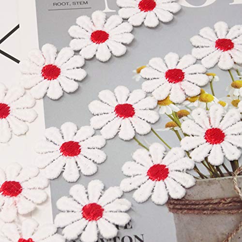 Honbay 5 Yards Decorating Lace Embroidered Trim Ribbons for Sewing or Craft Decoration (Daisy red) - color: Daisy red