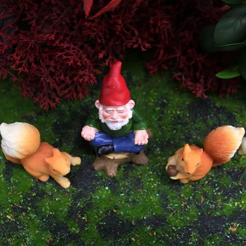 Miniature Garden Gnome with Squirrels, Meditation Fairy Garden Decor Set, 3 inch Tiny Gnome Figurine with 2 inch Squirrels, Plant Pot Decor 3-Piece - style: Meditation Gnome with Squirrels