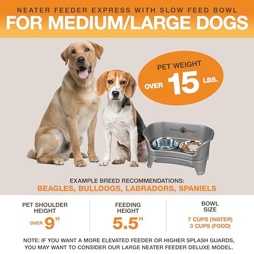 Neater Feeder - Express Model w/ Slow Feed Bowl - Mess-Proof Dog Bowls (M/L, Grey) Made in USA – Elevated, No Spill, Non-Tip, Non-Slip, Raised Stainless Steel Food/Water Pet Bowls Aid Digestion - color: Gunmetal Grey, size: Medium to Large w/ Metal Slow F