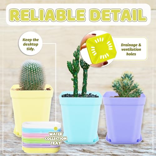 OJYUDD 24 Pack Multi Color Plastic Plant Pot,Colorful Plastic Square Pots,Mini Plastic Square Planters for Indoor Outdoor Plants Flowers,Garden,Office,Home Decor,with Pallet - size: 24 Pack Multicolor