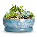 Succulent Planter 8 Inch, Ceramic Bonsai Planter, Droplet Blue - color: Droplet Blue, size: 8 Inch