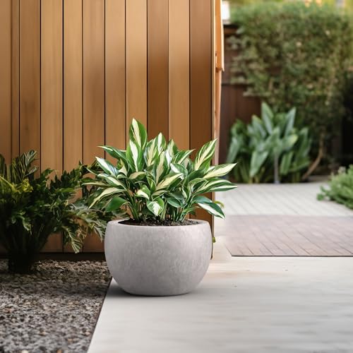 Kante Accent Round Bowl CON Gray Concrete Planter 15.7" Dia, Outdoor - color: Light Gray, size: 15.7" d