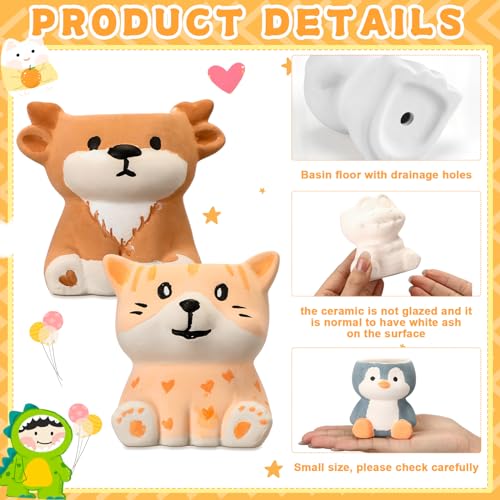 Hushee 12 Sets Ceramic Succulent Pots to Paint with Drainage - color: Animal