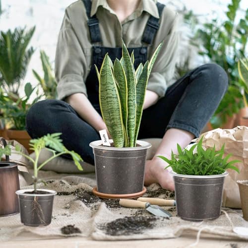 VOKOY 40 Pack 5/4/3/2.75 Inch Clear Nursery Pots with 40 Plant Labels, Clear Plant Pots with Drainage Hole Plastic Transparent Variety Pack Garden Flower Seedling Pot Small Planter Containers - size: 5/4/3/2.75 Inch - 40pcs