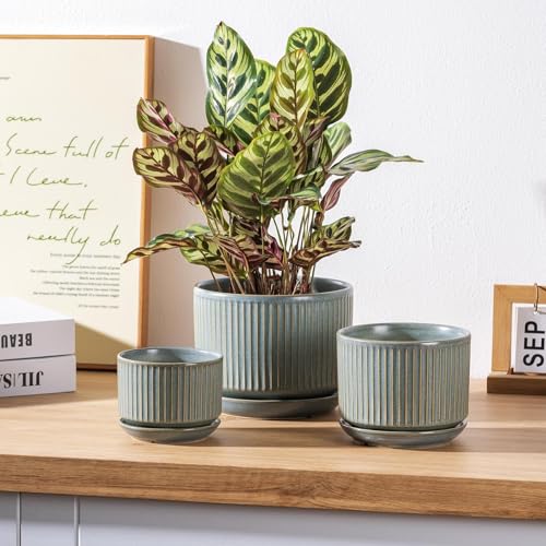SURE YUESI Ceramic Plant Pots Set of 3, Indoor Outdoor Planters with Drainage Hole and Saucer, Ceramic Flower Pots for Indoor Plants, 4.3+5.5+6.8 Inch, Home, Garden, Patio and Office, Matte Green - color: Matt Green