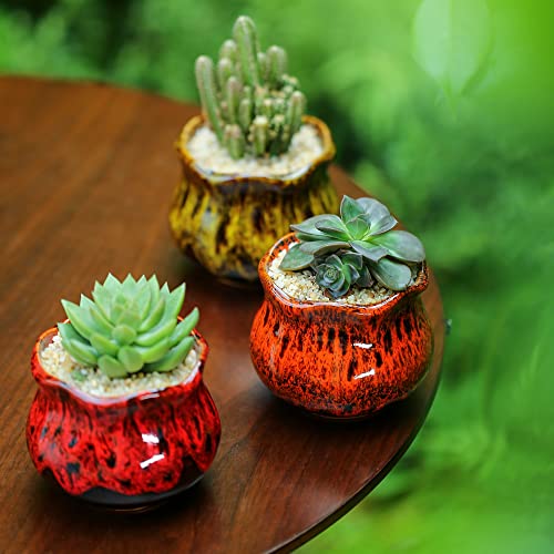 Cute Ceramic Succulent Planters, Garden Pots with Drainage and Attached Saucer, Set of 6 - Plants Not Included