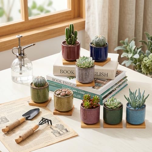 Lawei 8 Pack 2.5 Inch Mini Succulent Plant Pot with Drainage and Bamboo Tray, Small Ceramic Cactus Plant Pot, Flower Pots Faux Plants Containers for Home Garden Office Decoration(Plants NOT Included)
