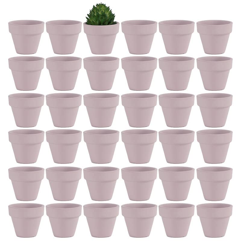 Yishang 1.9 Inch Tiny Pink Terracotta Pots Pack of 36-Small Mini White Clay Pots with Drainage Holes Flower Nursery Terra Cotta Planter for Tiny Cactus,Herb,Succulent Plants,Crafts - color: Pink