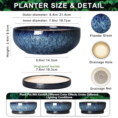 Bonsai Pots 8 Inch, Ceramic Succulent Pots with Saucer, Blue - color: Blue, size: 8 Inch