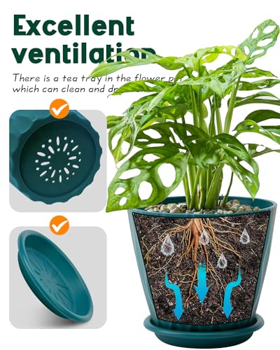 6 Inch Indoor Planter Pots with Drainage Hole and Tray Saucer,Flower Pots for Indoor Outdoor Garden Plants and Flowers, Multicolor, 5 Packs (Blue)