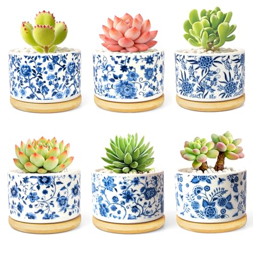 Succulent Pots, 6PCS Small Pots for Plants with Drainage & Saucers, 3.1 Inch Ceramic Flower Planters for Indoor Plants, Decorative Planters for Succulent Cactus, Home, Office, Desk - color: Blue-porcelain-round
