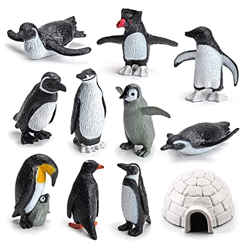 SCAHOW 11PCS Penguin Toys, Plastic Arctic Animal Penguin Figures for Kids, Realistic Polar Animals Penguin Figurines Set with Igloo Model, Cake Topper Winter Miniature Toys Decoration - style: 11PCS