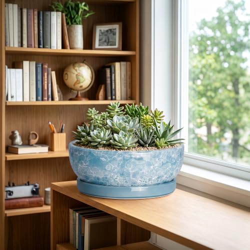 Succulent Planter, 13 Inch Ceramic Bonsai Pots, Droplet Blue - color: Droplet Blue, size: 13 Inch