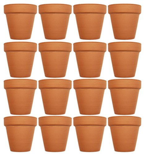 Black Duck Brand Set of 16 Terra Cot Pot Planter 2-1/2" x 2-1/2" Lawn & Garden Mini Flower Pots - 2.5" x 2.5" Terra Cotta (16)