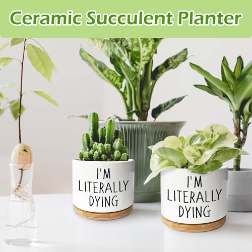 I'm Literally Dying - Quotes Funny Succulent Pots, 3.5 inch Ceramic Flower Plant Pots with Drainage Hole, Cute Cactus Planters, Birthday Gifts for Women Friends,Housewarming Gifts