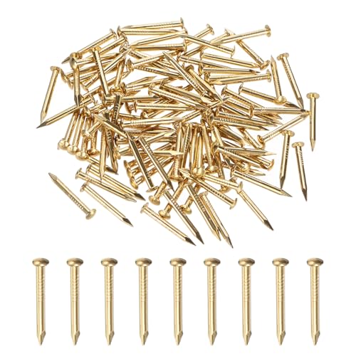 Generic 100-Pack Small Tiny Nails, 2mm x 20mm Brass Precision MIni Nails Hardware Round Head for Wooden/DIY Crafts Decorative/Household Accessories/Picture Hanging