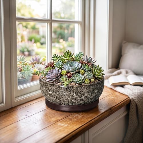 Bonsai Pots, 8 Inch Ceramic Succulent Pot with Saucer, White Leopard - color: White Leopard, size: 8 Inch