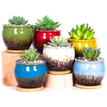 Succulent Pots, 4 Inch Small Plant Pots with Drainage Tray Set of 6 - color: Blue/Green/Red/White/Yellow/Light Blue - 4 Inch