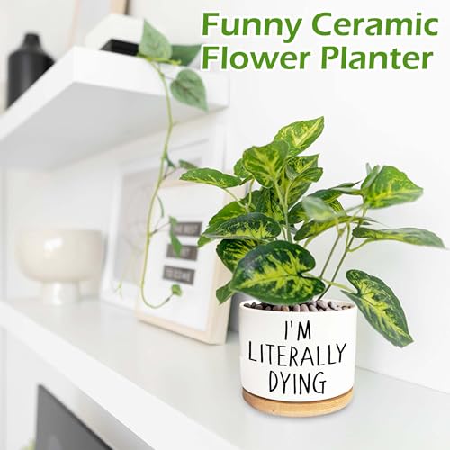 I'm Literally Dying - Quotes Funny Succulent Pots, 3.5 inch Ceramic Flower Plant Pots with Drainage Hole, Cute Cactus Planters, Birthday Gifts for Women Friends,Housewarming Gifts
