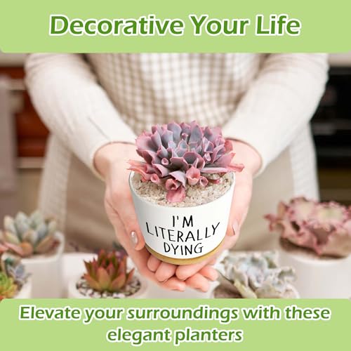 I'm Literally Dying - Quotes Funny Succulent Pots, 3.5 inch Ceramic Flower Plant Pots with Drainage Hole, Cute Cactus Planters, Birthday Gifts for Women Friends,Housewarming Gifts
