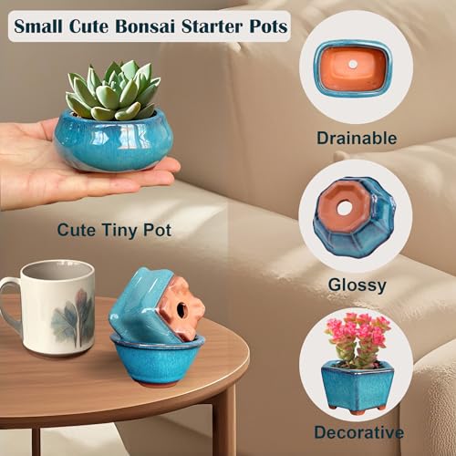 MUZHI 6PACK Glazed Bonsai Pot Planter 3" 4” Small Succulent Pots, Yixing Zisha Decorative Mame Bonsai Training Pot or Small Flower Cactus Starter Growing Planters Containers Blue - color: 6pcs Pots