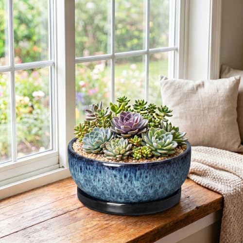 Bonsai Pots, 10 Inch Ceramic Succulent Pots with Saucer, Blue - color: Blue, size: 10 Inch